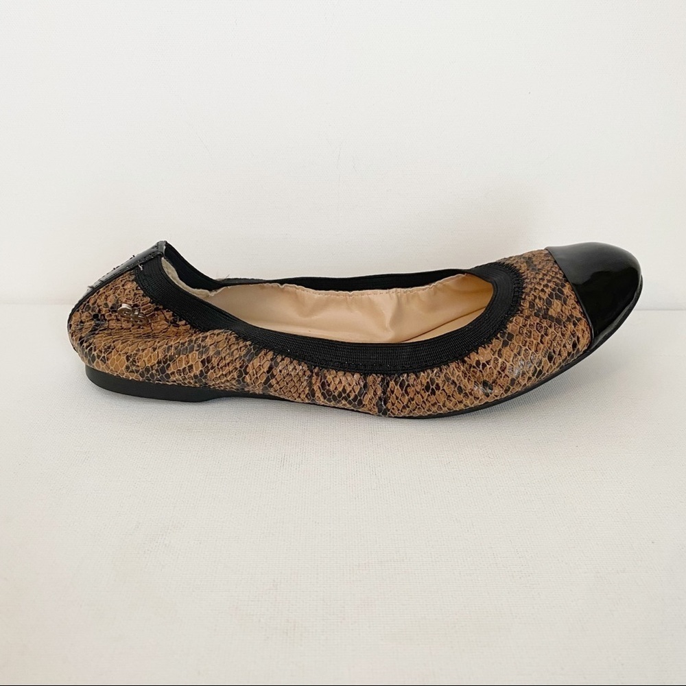 Cole Haan Snakeskin Ballet Flats Deltona - Size 7